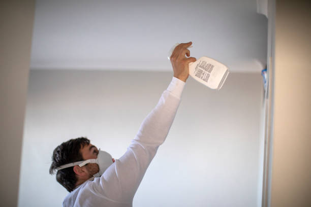 Best Mold Testing and Inspection Services in San Juan, TX